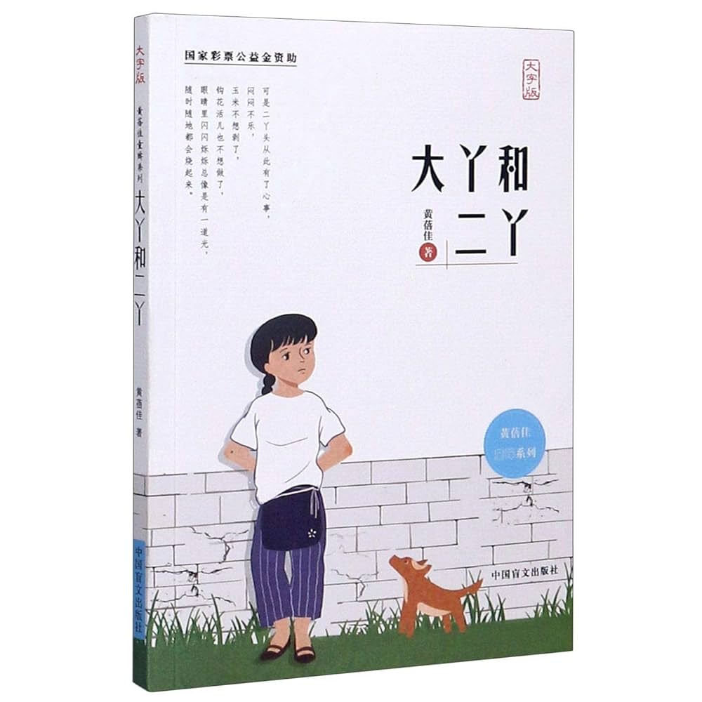 Amazon.co.jp: 大丫与二丫 大字版 : 本